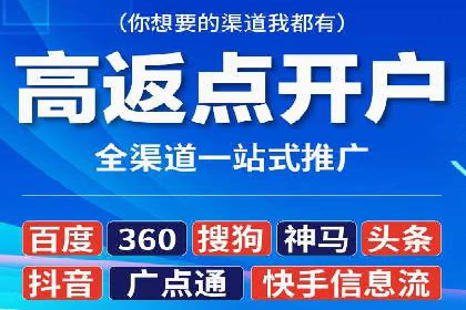 百度竞价与搜索引擎优化（SEO）结合的经典案例